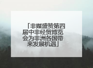 非媒盛赞第四届中非经贸博览会为非洲各国带来发展机遇