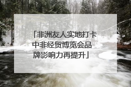 非洲友人实地打卡 中非经贸博览会品牌影响力再提升