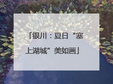 银川：夏日“塞上湖城”美如画