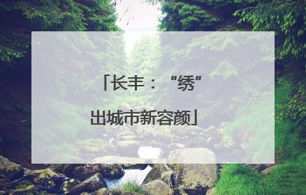 长丰：“绣”出城市新容颜