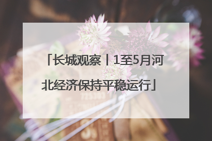 长城观察丨1至5月河北经济保持平稳运行