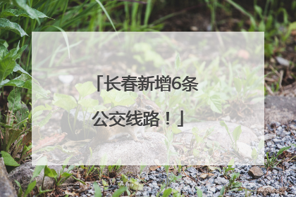 长春新增6条公交线路！
