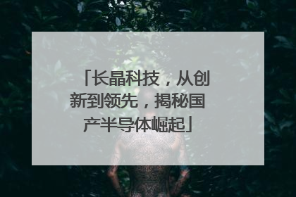 长晶科技，从创新到领先，揭秘国产半导体崛起
