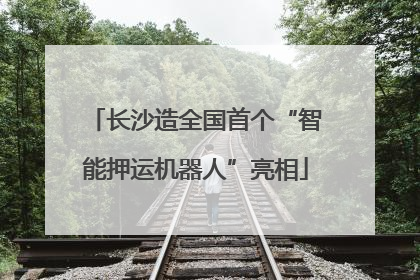 长沙造全国首个“智能押运机器人”亮相