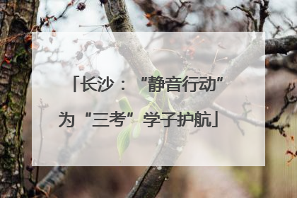 长沙：“静音行动”为“三考”学子护航