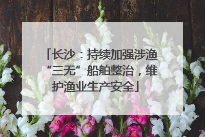 长沙：持续加强涉渔“三无”船舶整治，维护渔业生产安全