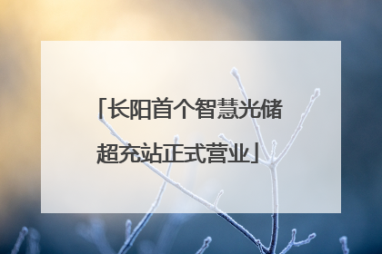 长阳首个智慧光储超充站正式营业