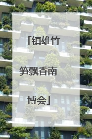 镇雄竹笋飘香南博会