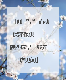 闻“旱”而动 保灌保供——陕西抗旱一线走访见闻