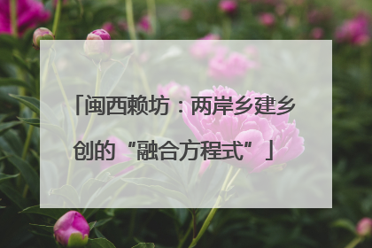 闽西赖坊：两岸乡建乡创的“融合方程式”