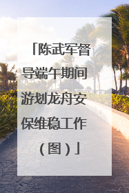 陈武军督导端午期间游划龙舟安保维稳工作（图）