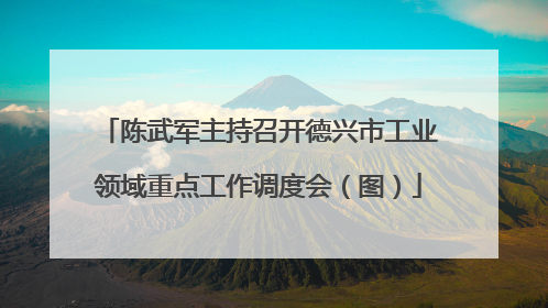 陈武军主持召开德兴市工业领域重点工作调度会（图）