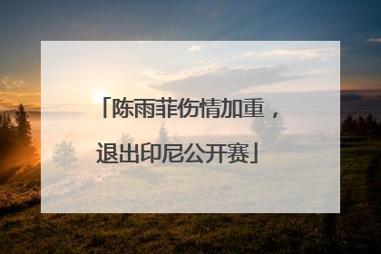 陈雨菲伤情加重，退出印尼公开赛