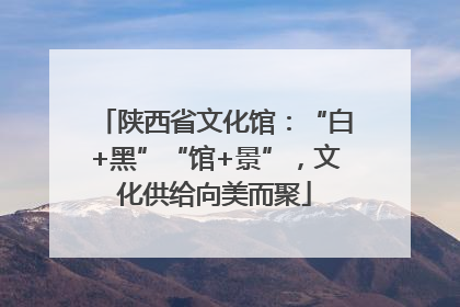 陕西省文化馆：“白+黑”“馆+景”，文化供给向美而聚