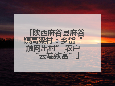 陕西府谷县府谷镇高梁村：乡货“触网出村” 农户“云端致富”