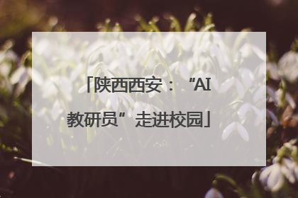 陕西西安：“AI教研员”走进校园