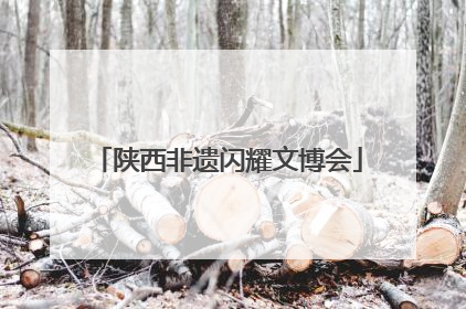 陕西非遗闪耀文博会