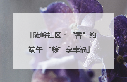 陡岭社区：“香”约端午 “粽”享幸福