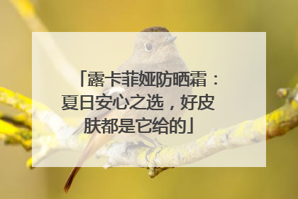 露卡菲娅防晒霜：夏日安心之选，好皮肤都是它给的