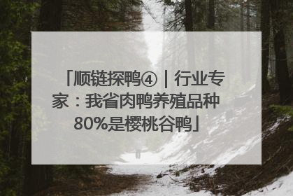 顺链探鸭④｜行业专家：我省肉鸭养殖品种80%是樱桃谷鸭