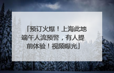 预订火爆！上海此地端午人流预警，有人提前体验！视频曝光