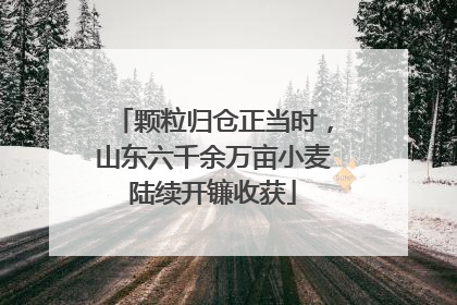 颗粒归仓正当时，山东六千余万亩小麦陆续开镰收获
