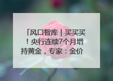 风口智库｜买买买！央行连续7个月增持黄金，专家：金价或仍易涨难跌