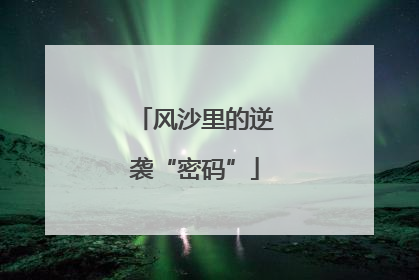 风沙里的逆袭“密码”