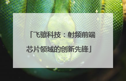 飞骧科技：射频前端芯片领域的创新先锋