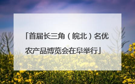 首届长三角（皖北）名优农产品博览会在阜举行