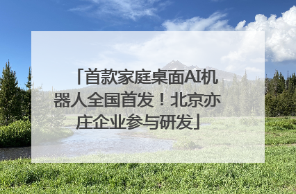 首款家庭桌面AI机器人全国首发！北京亦庄企业参与研发