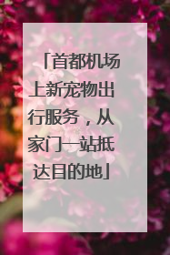 首都机场上新宠物出行服务，从家门一站抵达目的地