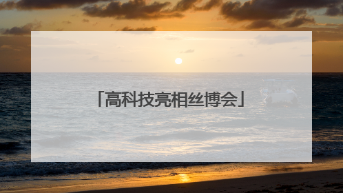 高科技亮相丝博会