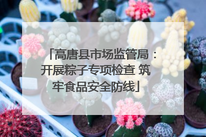 高唐县市场监管局：开展粽子专项检查 筑牢食品安全防线