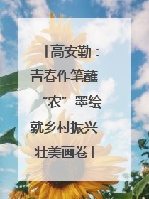 高安勤：青春作笔蘸“农”墨绘就乡村振兴壮美画卷