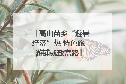 高山苗乡“避暑经济”热 特色旅游铺就致富路
