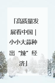 高质量发展看中国｜小小大蒜种出“辣”经济