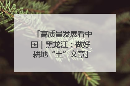高质量发展看中国｜黑龙江：做好耕地“土”文章