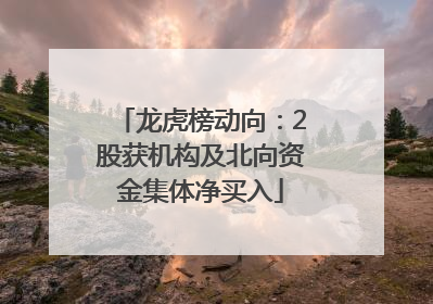 龙虎榜动向：2股获机构及北向资金集体净买入