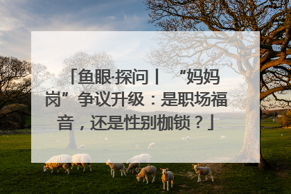 鱼眼·探问丨 “妈妈岗”争议升级：是职场福音，还是性别枷锁？