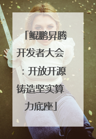 鲲鹏昇腾开发者大会：开放开源铸造坚实算力底座