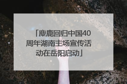 麋鹿回归中国40周年湖南主场宣传活动在岳阳启动