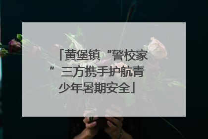 黄堡镇“警校家”三方携手护航青少年暑期安全