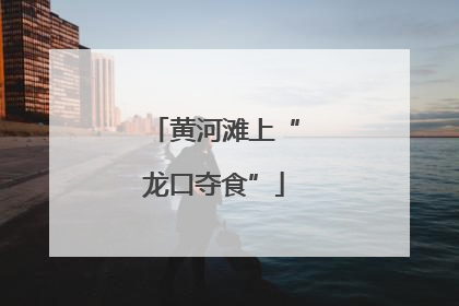 黄河滩上“龙口夺食”