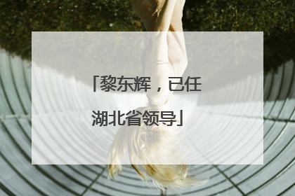 黎东辉，已任湖北省领导