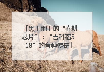 黑土地上的“春耕芯片”：“吉科稻518”的育种传奇