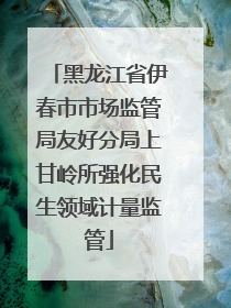 黑龙江省伊春市市场监管局友好分局上甘岭所强化民生领域计量监管