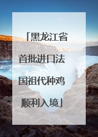 黑龙江省首批进口法国祖代种鸡顺利入境