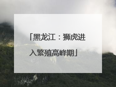 黑龙江：狮虎进入繁殖高峰期