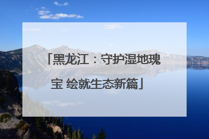 黑龙江：守护湿地瑰宝 绘就生态新篇